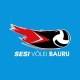 Sesi Volei Bauru